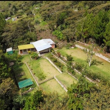 Lucmabamba Lodge Santa Teresa  Exterior foto