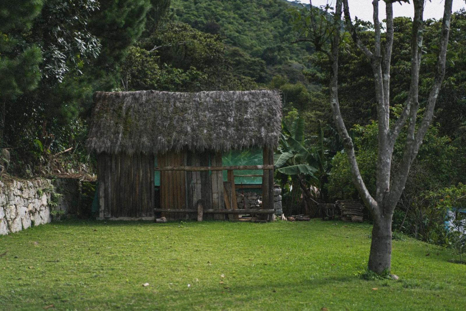 Lucmabamba Lodge Santa Teresa  Exterior foto